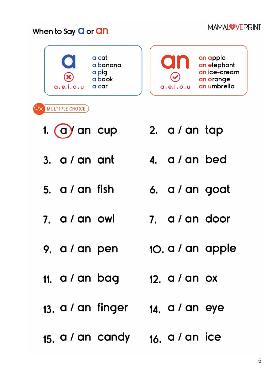 Common English Grammar