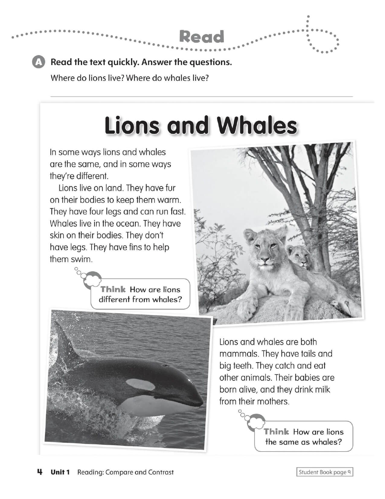 Oxford Discover 2nd Work Book Tập 2