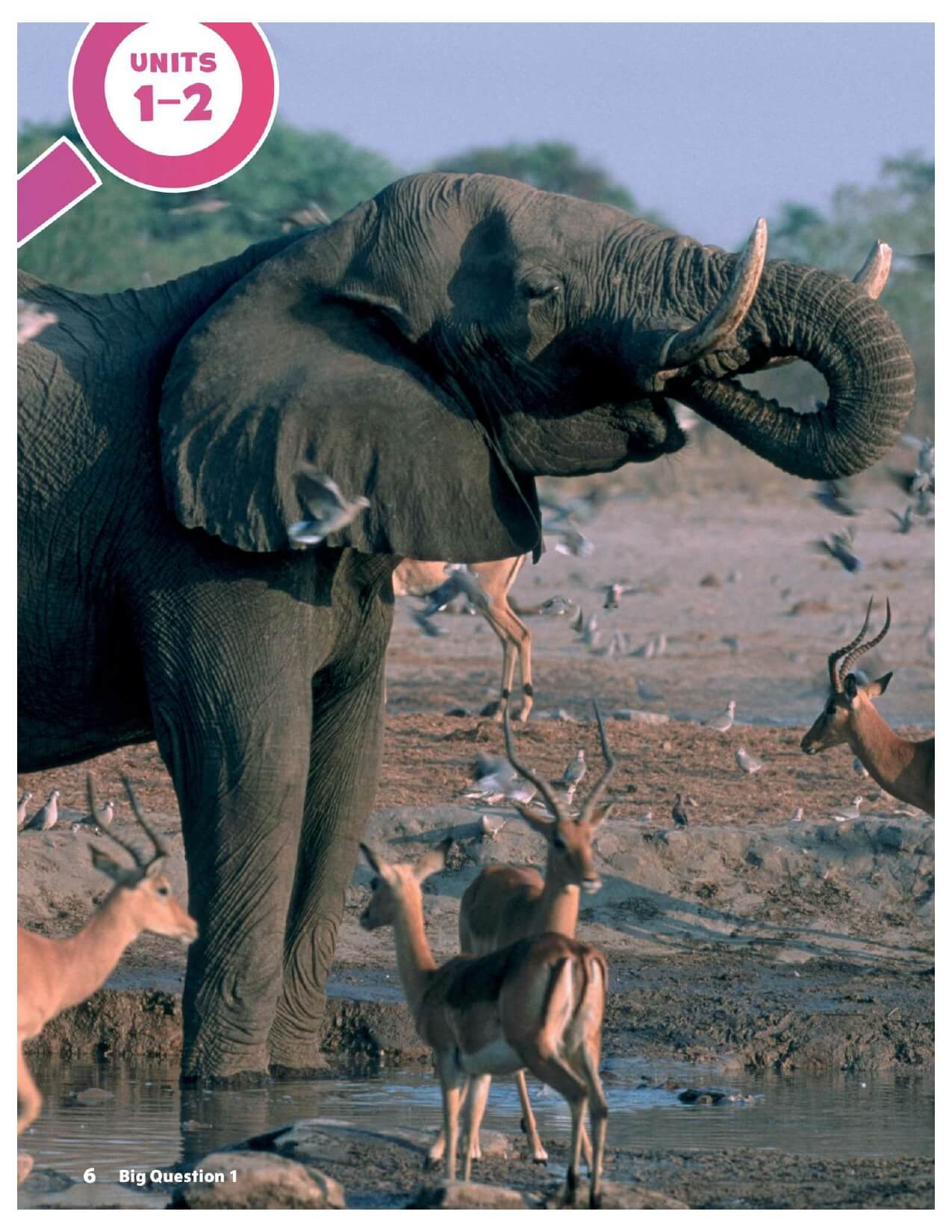 Combo 2 Sách Oxford Discover 2nd Student Book + Work Book Tập 2