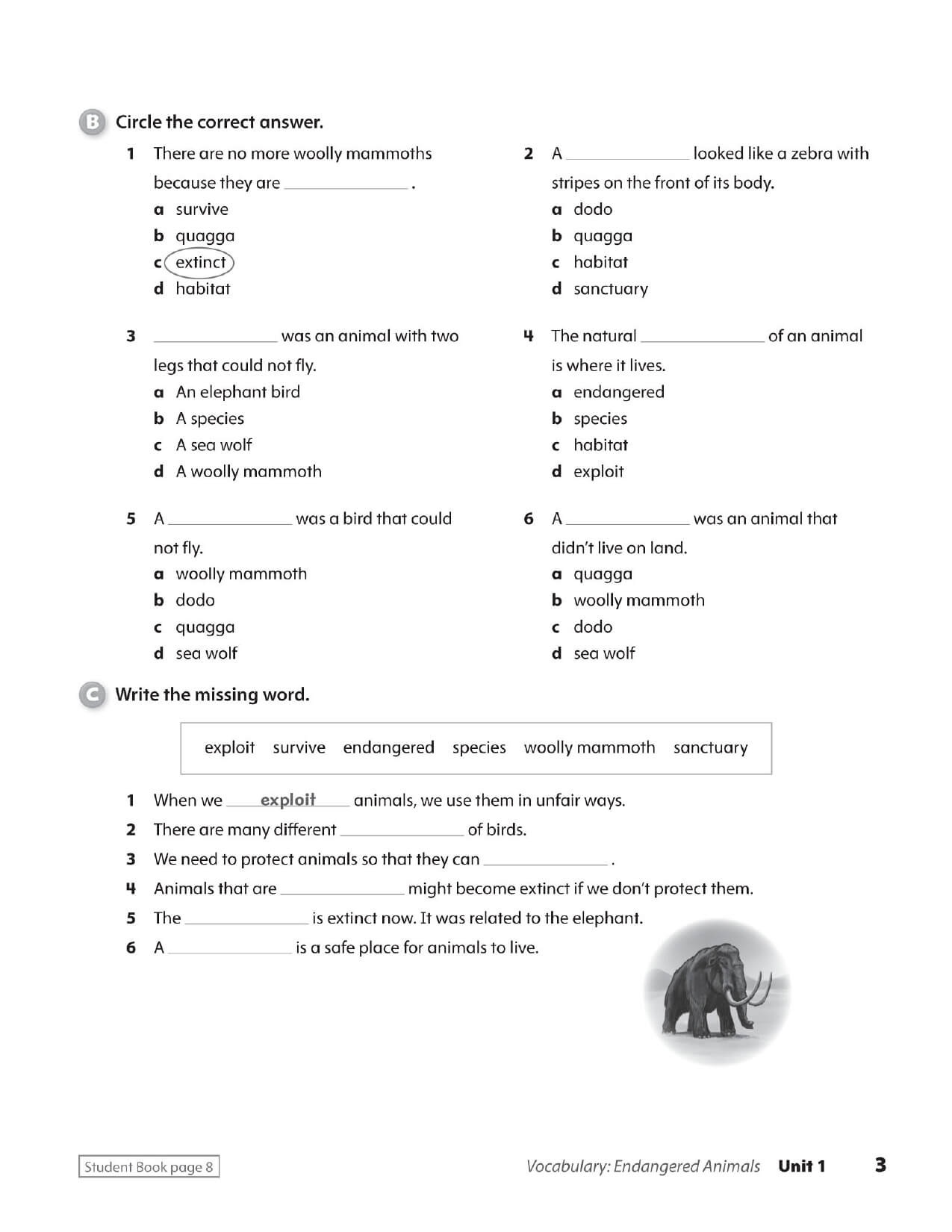 Oxford Discover  Work Book Tập 5