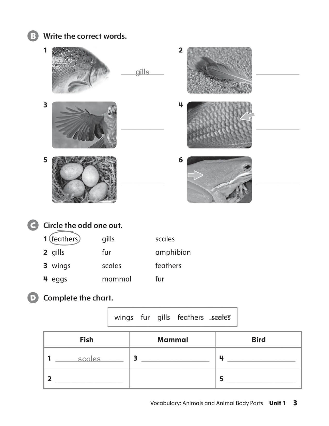 Oxford Discover Work Book Tập 2
