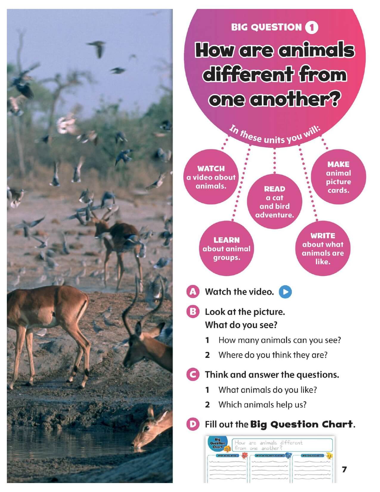 Oxford Discover Student Book Tập 2