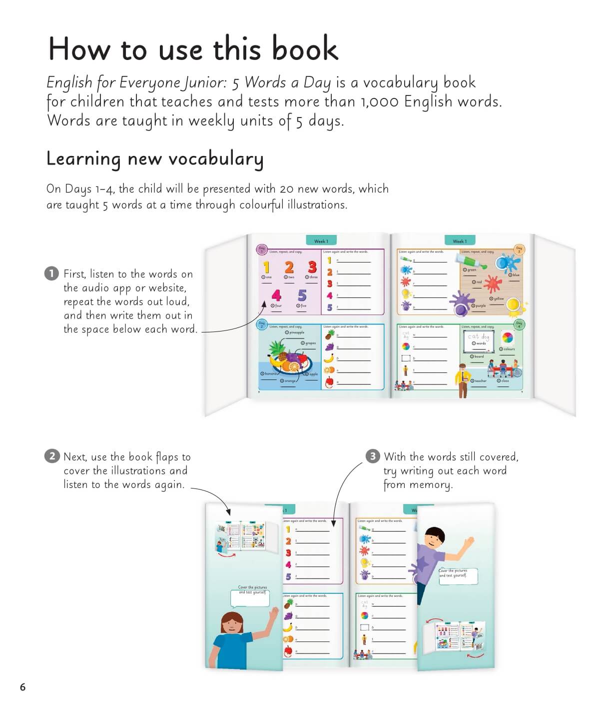 Junior 5 Words A Day